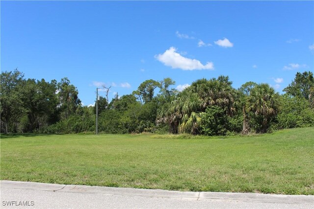4150 Enclave Pl, Punta Gorda, FL 33980 - view of grassy yard