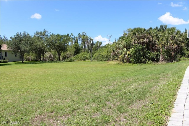 4150 Enclave Pl, Punta Gorda, FL 33980 - view of grassy yard