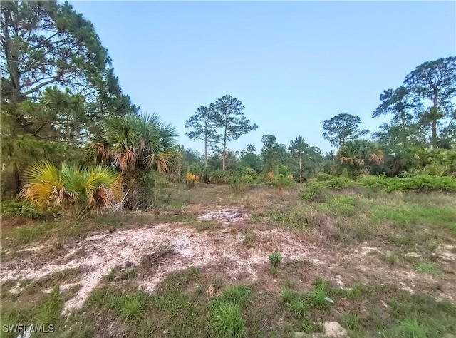 845 S Live Oak St, Clewiston, FL 33440