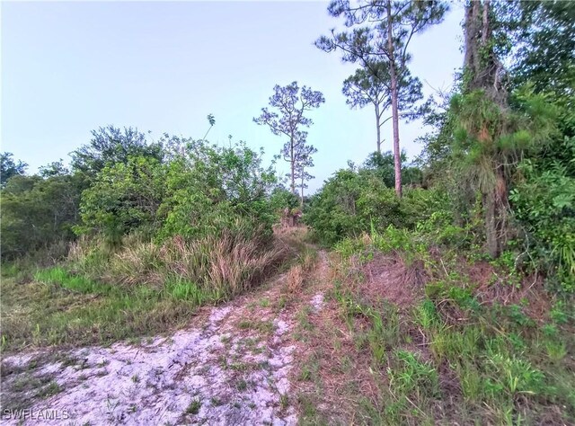 565 S Datil St, Clewiston, FL 33440