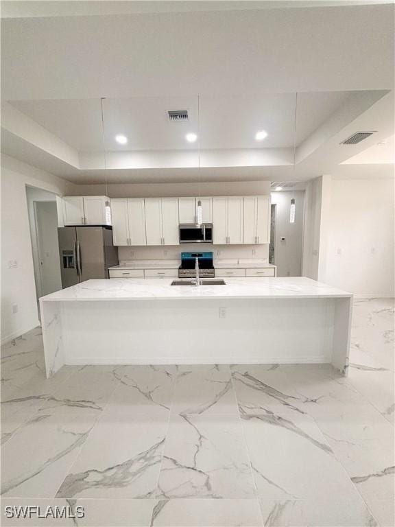 3806 15th St W, Lehigh Acres, FL 33971 - kitchen featuring stainless steel appliances, a tray ceiling, a sink, white cabinetry, and recessed lighting
