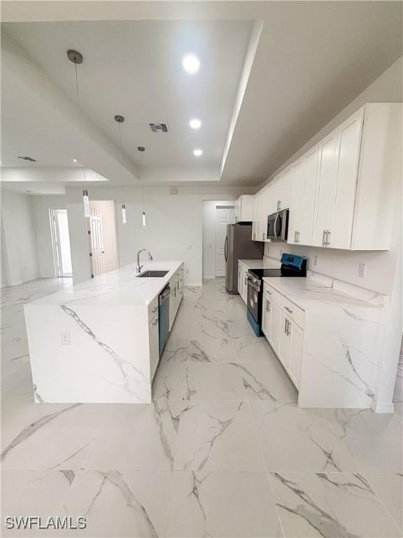 3806 15th St W, Lehigh Acres, FL 33971 - kitchen featuring stainless steel appliances, a sink, a tray ceiling, white cabinets, and light marble finish floors