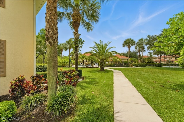411 Valerie Way Unit 103, Naples, FL 34104 - view of home's community featuring a lawn