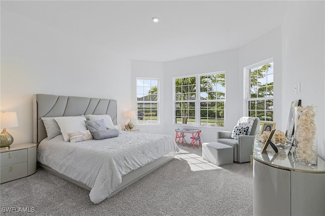 8341 Promoso Ct, Naples, FL 34114 - carpeted bedroom with multiple windows