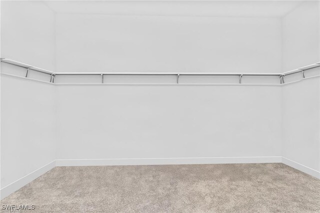 8341 Promoso Ct, Naples, FL 34114 - walk in closet with carpet flooring