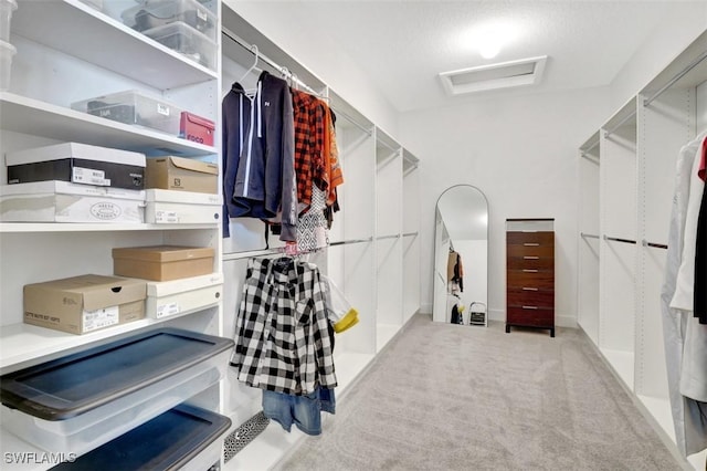 5273 Lamone Ln, Ave Maria, FL 34142 - walk in closet with attic access and carpet flooring