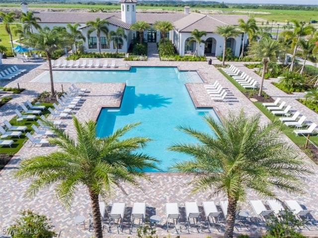 5273 Lamone Ln, Ave Maria, FL 34142 - view of community pool