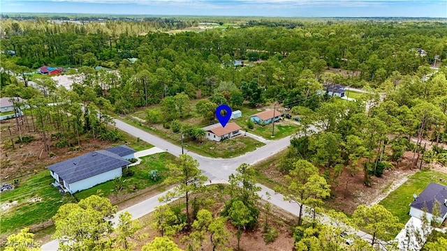 1201 E 15th St, Lehigh Acres, FL 33972 - bird's eye view of a forest