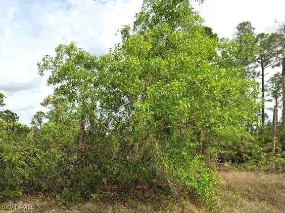 1247 Edna St E, Lehigh Acres, FL 33974