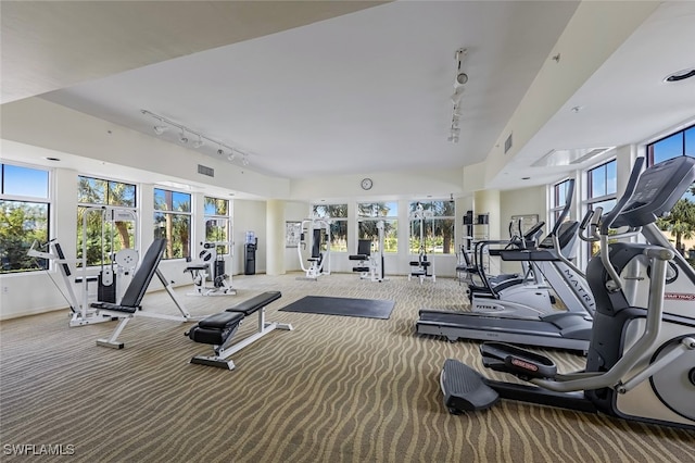 8771 Estero Blvd Unit 807, Fort Myers Beach, FL 33931 - exercise room with track lighting, carpet flooring, and baseboards