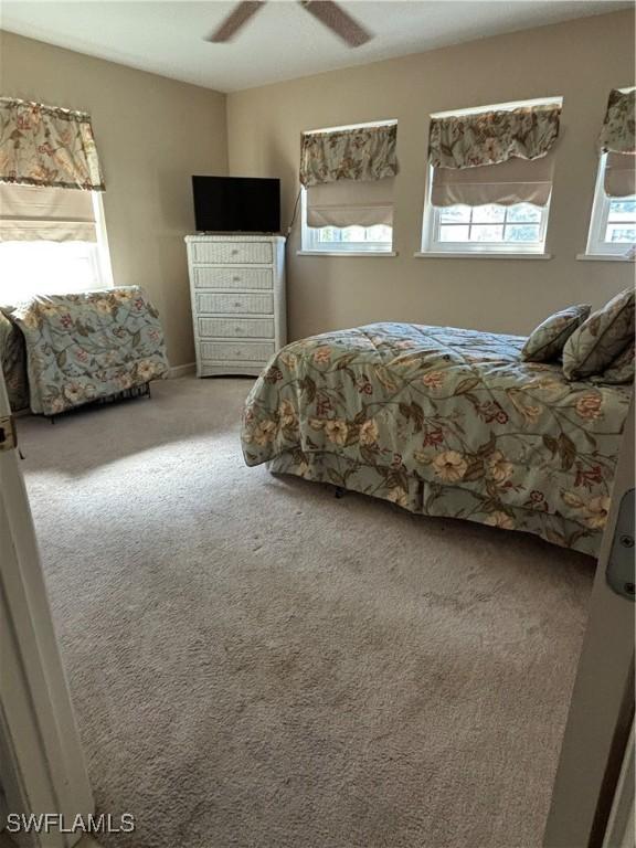 2440 Elkcam Blvd, Port Charlotte, FL 33952 - bedroom with carpet and ceiling fan