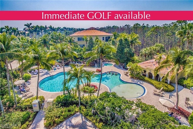 2738 Tiburon Blvd E Unit Ph-B502, Naples, FL 34109 - community pool featuring a community hot tub, a gate, and a patio area