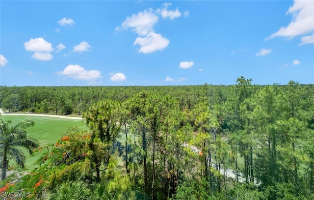2738 Tiburon Blvd E Unit Ph-B502, Naples, FL 34109 - view of tree filled area with golf course view