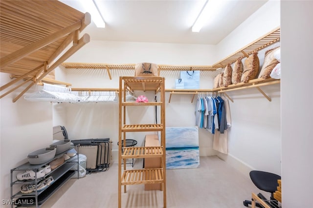 2738 Tiburon Blvd E Unit Ph-B502, Naples, FL 34109 - view of walk in closet