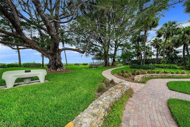 3030 Binnacle Dr Unit 206, Naples, FL 34103 - view of property's community with a lawn