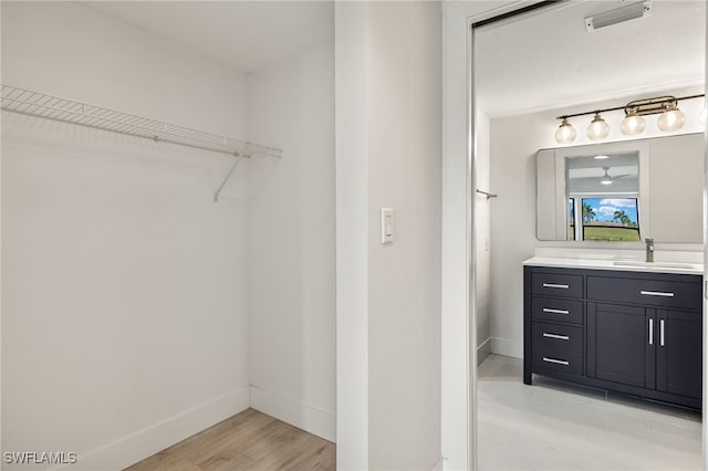 16410 Kelly Cove Dr Unit 313, Fort Myers, FL 33908 - spacious closet with a sink and light wood-type flooring