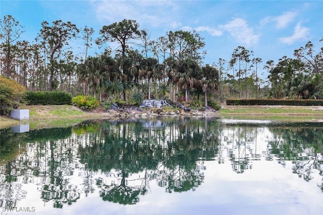 14550 Red Fox Run Unit 407, Naples, FL 34110 - water view