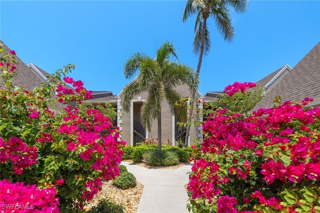 16260 Kelly Cove Dr Unit 235, Fort Myers, FL 33908 - view of yard