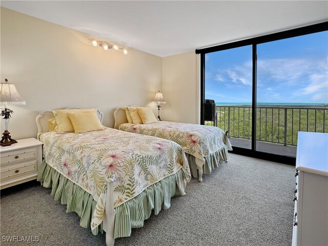 440 Seaview Ct Unit 1012, Marco Island, FL 34145 - bedroom with expansive windows, carpet flooring, and access to outside