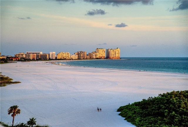 440 Seaview Ct Unit 1012, Marco Island, FL 34145 - water view featuring local beach