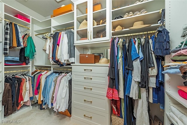 3153 Aviamar Cir Unit 202, Naples, FL 34114 - spacious closet featuring carpet flooring