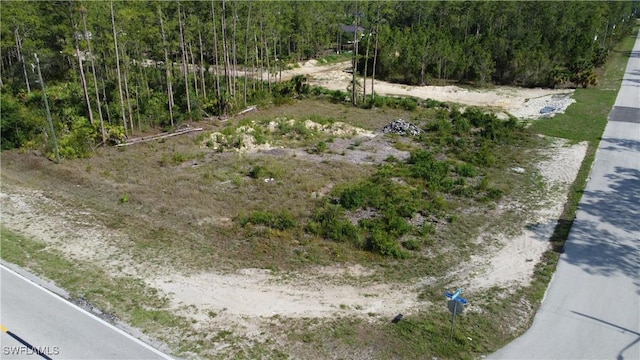 345/347 Greenbriar Blvd, Lehigh Acres, FL 33972