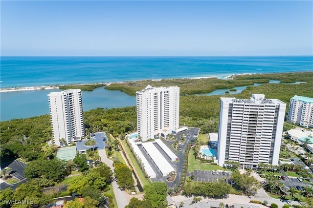 5550 Heron Point Dr W Unit 305, Naples, FL 34108 - aerial view of a large body of water