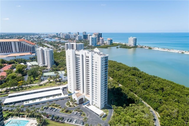 5550 Heron Point Dr W Unit 305, Naples, FL 34108 - view of urban area with a nearby body of water