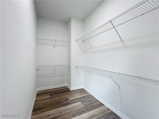 Anthony Anthony Street E 912, Lehigh Acres, FL 33974 - spacious closet with wood finished floors