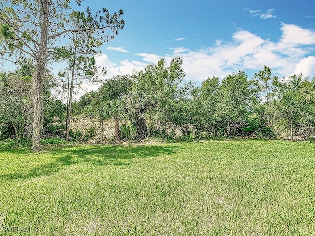 Anthony Anthony Street E 912, Lehigh Acres, FL 33974 - view of grassy yard