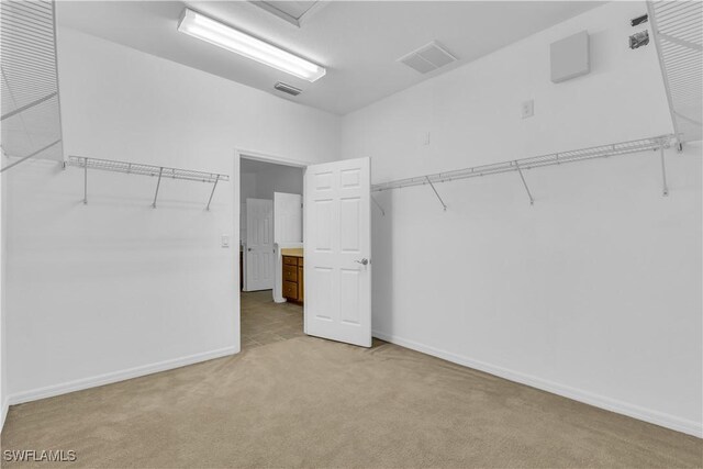 3799 Costa Maya Way Unit 202, Estero, FL 33928 - spacious closet featuring light colored carpet