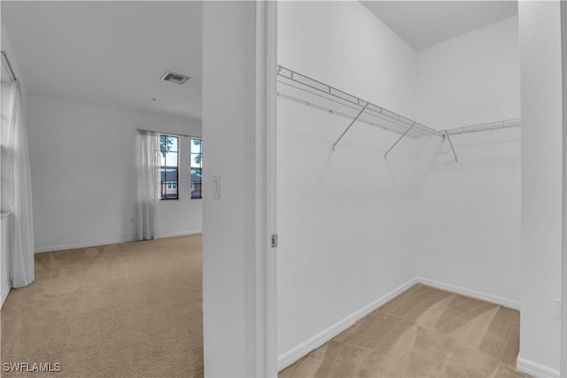 3799 Costa Maya Way Unit 202, Estero, FL 33928 - spacious closet with light colored carpet