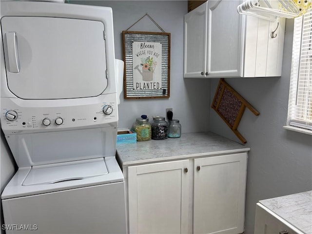1118 Grove Dr, Naples, FL 34120 - washroom with stacked washer / drying machine and cabinet space