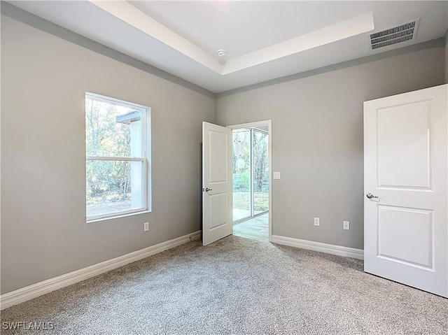 3307 55th St W, Lehigh Acres, FL 33971 - unfurnished bedroom with multiple windows, carpet flooring, baseboards, and a raised ceiling