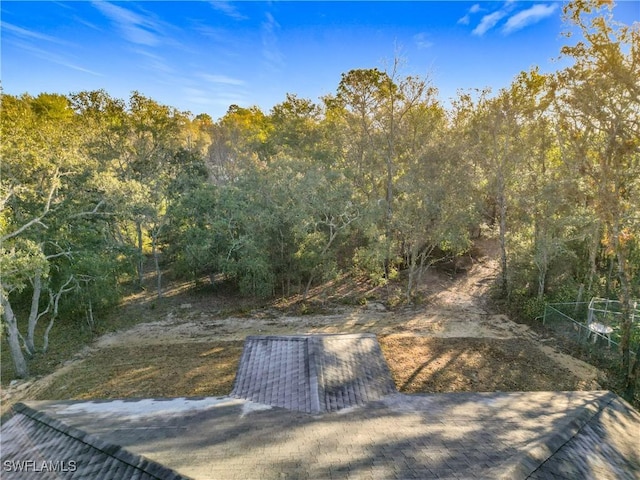 3307 55th St W, Lehigh Acres, FL 33971 - view of yard featuring a forest view