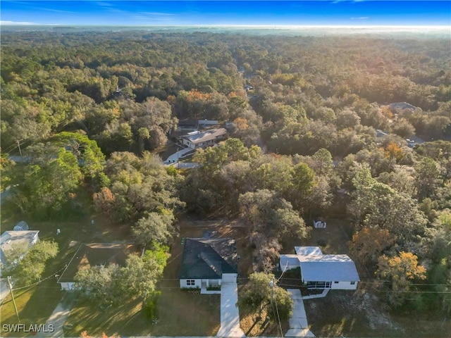 3307 55th St W, Lehigh Acres, FL 33971 - aerial overview of property's location with a heavily wooded area