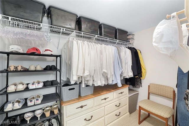 1250 Yesica Ann Cir Unit E106, Naples, FL 34110 - view of spacious closet