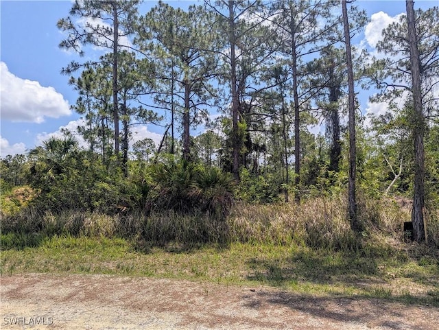249 Andalucia Ave S, Lehigh Acres, FL 33974