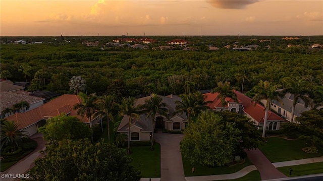 20081 Chapel Trce, Estero, FL 33928 - drone / aerial view