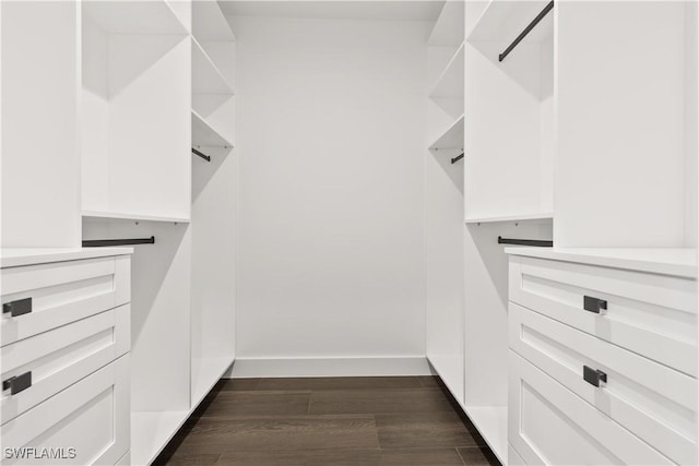 3473 14th Ave SE, Naples, FL 34117 - walk in closet featuring dark wood-style floors