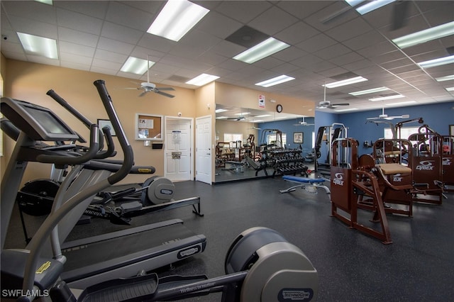 2759 Orange Grove Trl, Naples, FL 34120 - exercise room with a ceiling fan and a paneled ceiling