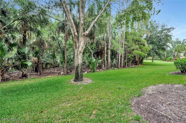 4040 Durango Ct Unit 101, Estero, FL 33928 - view of green lawn