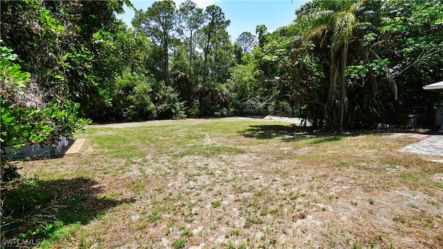 2780 39th St SW, Naples, FL 34117 - view of yard