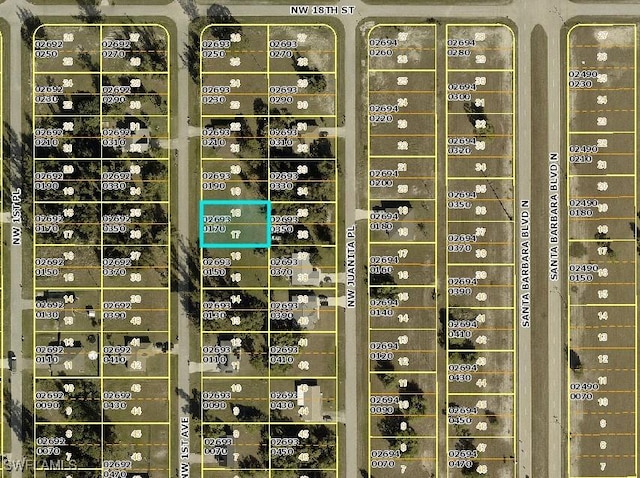 1713 NW 1st Ave, Cape Coral, FL 33993