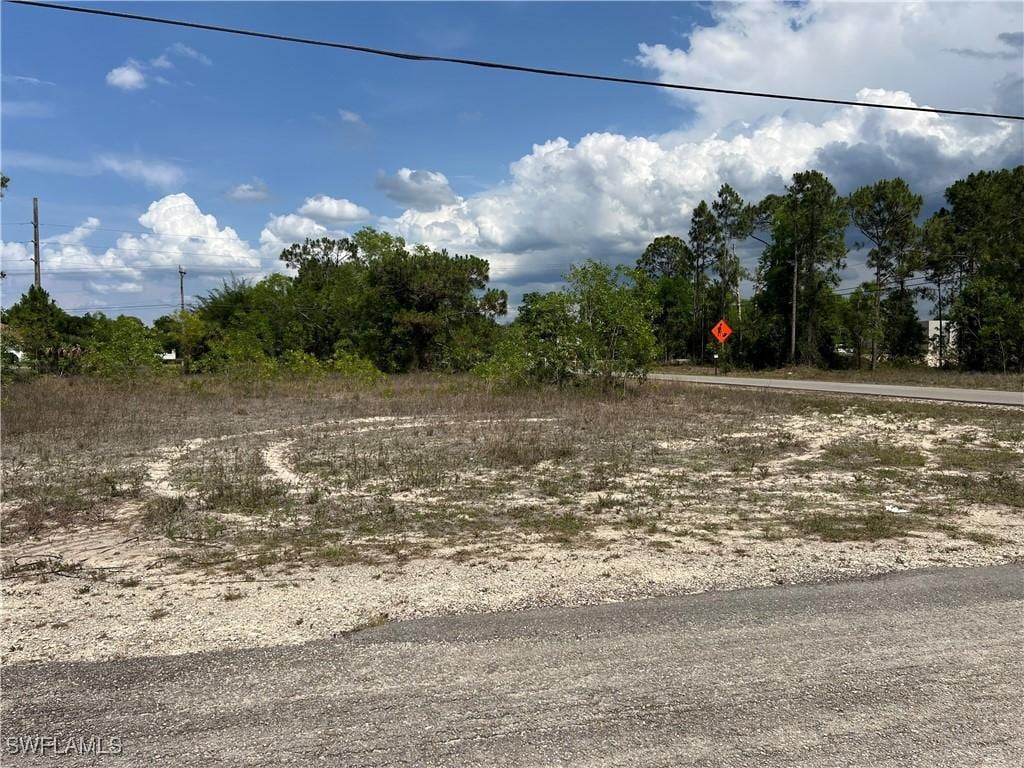 735 Delridge Ave S, Lehigh Acres, FL 33974 - photo 2