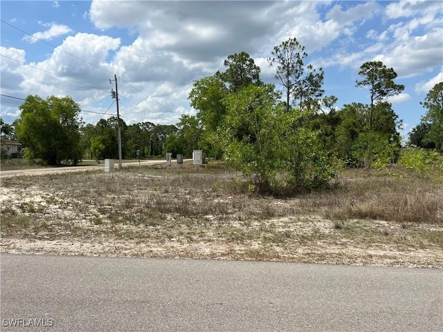 735 Delridge Ave S, Lehigh Acres, FL 33974 - photo 4