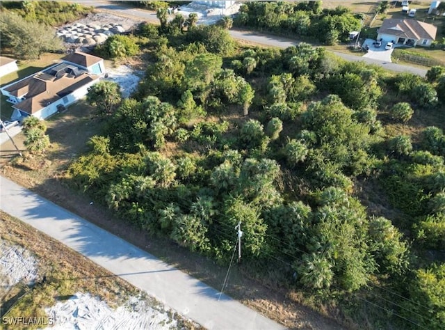 724 Cane St E, Lehigh Acres, FL 33974