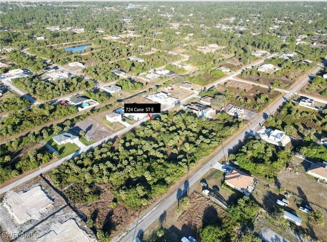 724 Cane St E, Lehigh Acres, FL 33974