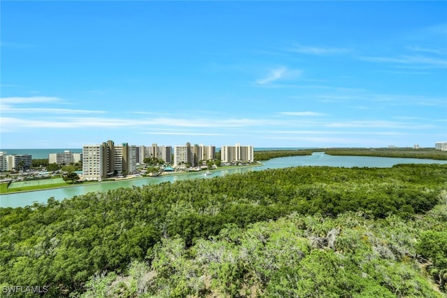 315 Dunes Blvd Unit 1006, Naples, FL 34110 - water view featuring nearby urban area