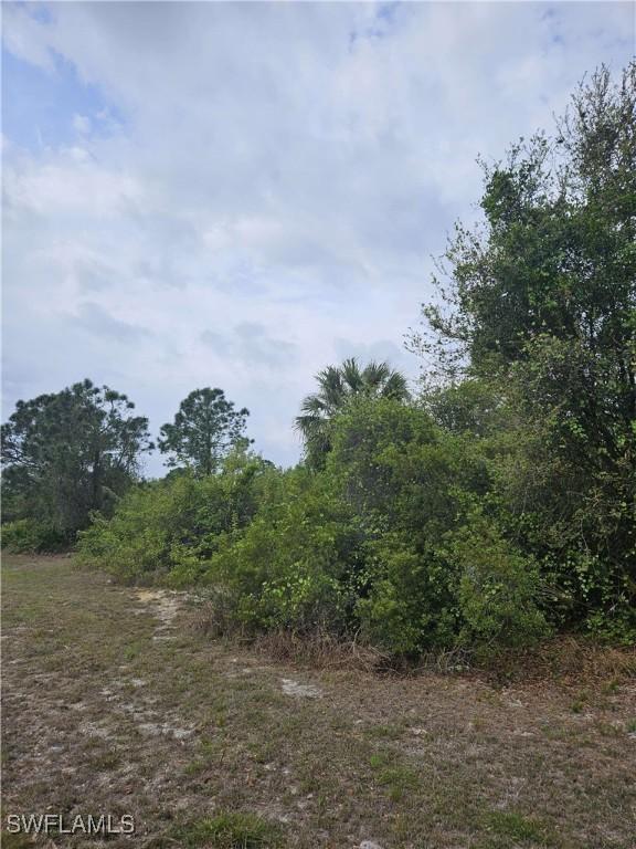 1711 Clayton Ave, Lehigh Acres, FL 33972 - photo 4